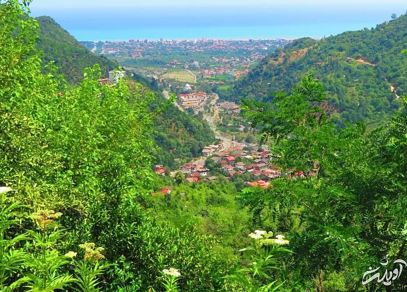 (تصاویر) آرامش جنگلهای زیبای سرولات و جنگسرا